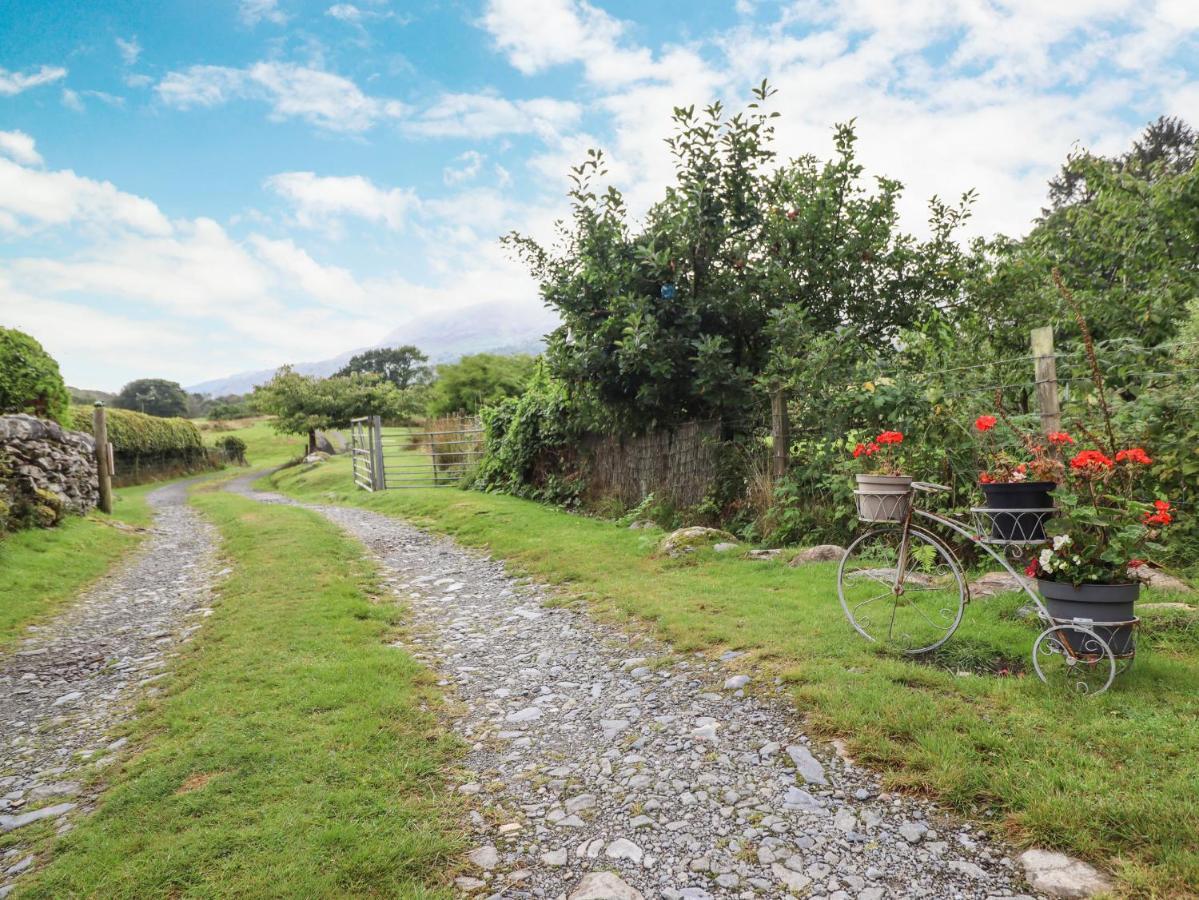 Cwm Caeth Cottage Caernarfon Extérieur photo